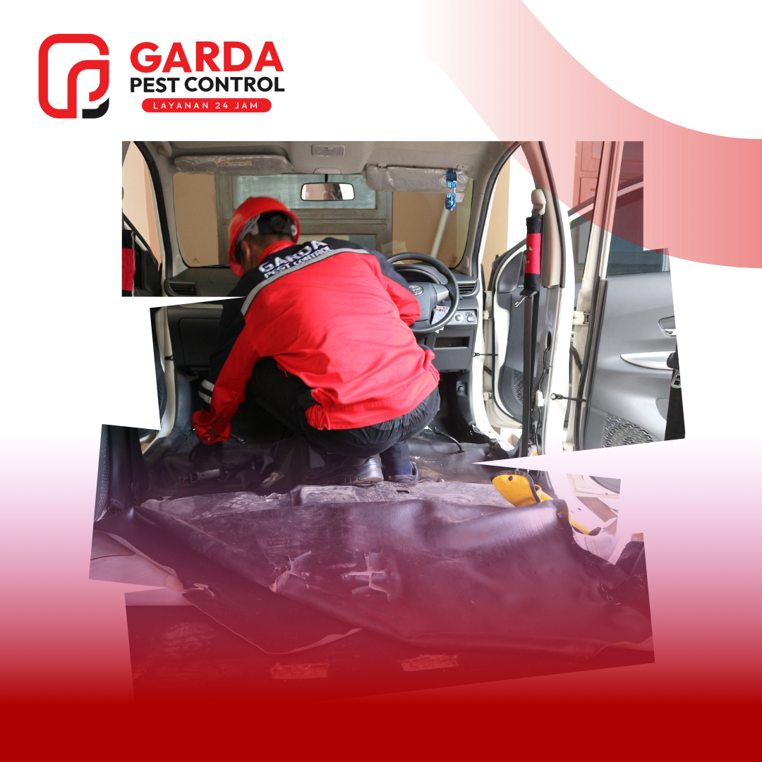 Jasa Pembasmi Kecoa di Mobil Terdekat