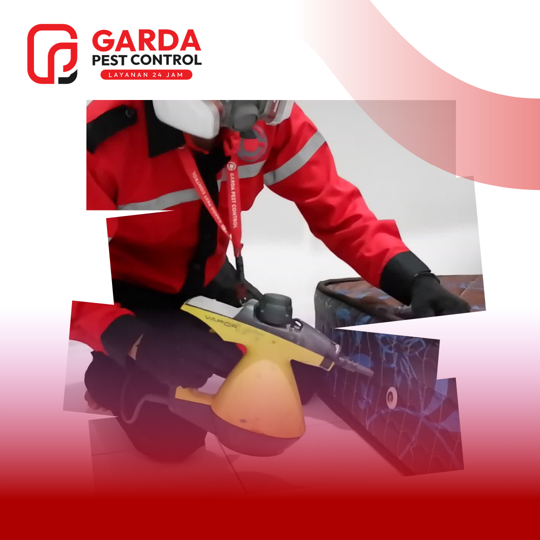 Jasa Pembasmi Kutu Kasur Terdekat