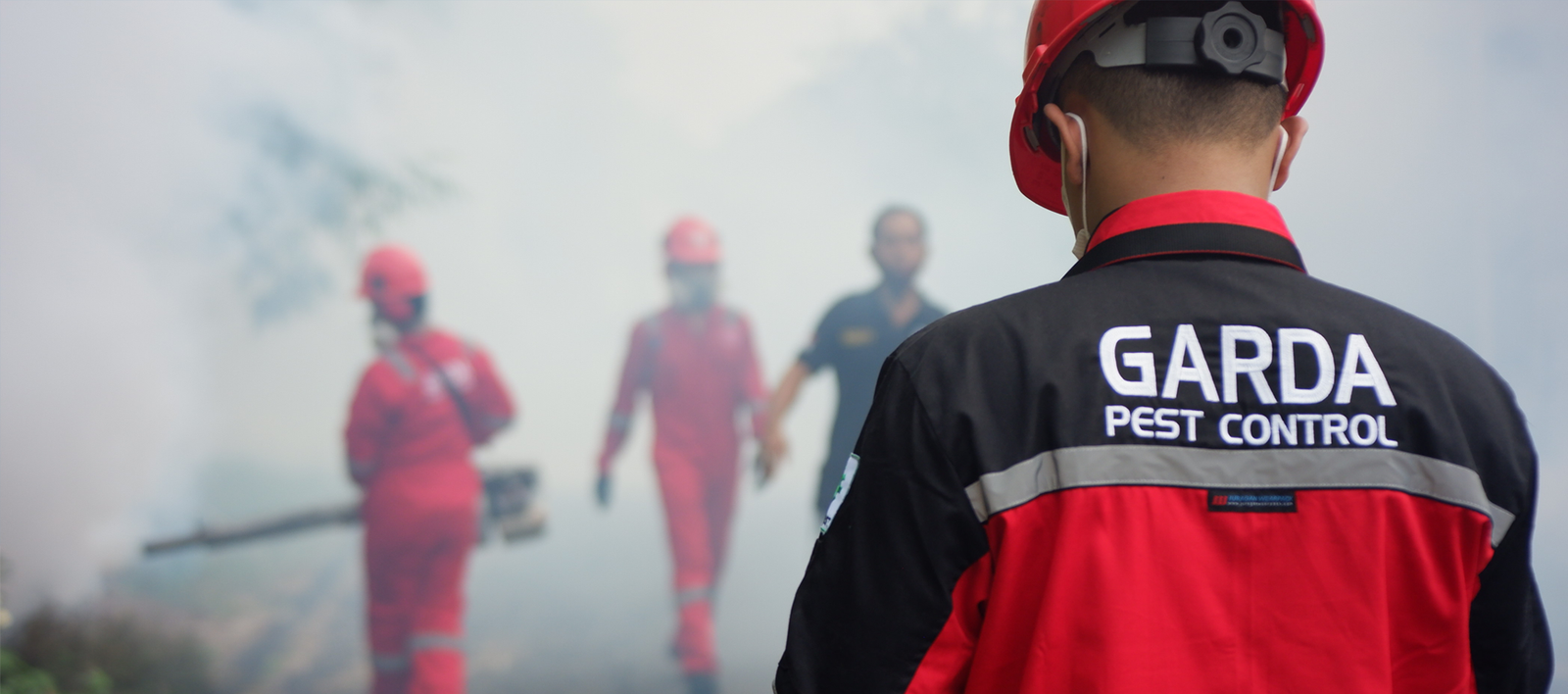 Pest Control Terdekat dan Terbaik
