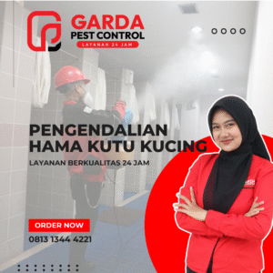 Tukang Basmi Kutu Kucing Di Banyumas Paling Handal Termurah