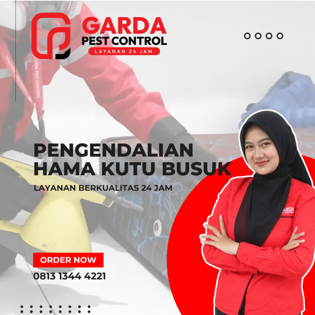 Pembasmi Kutu Kasur Terdekat