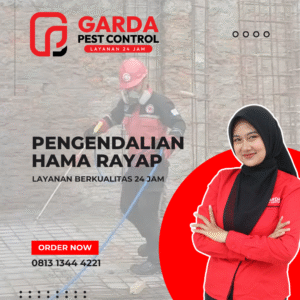Jasa Anti Rayap di Bandung