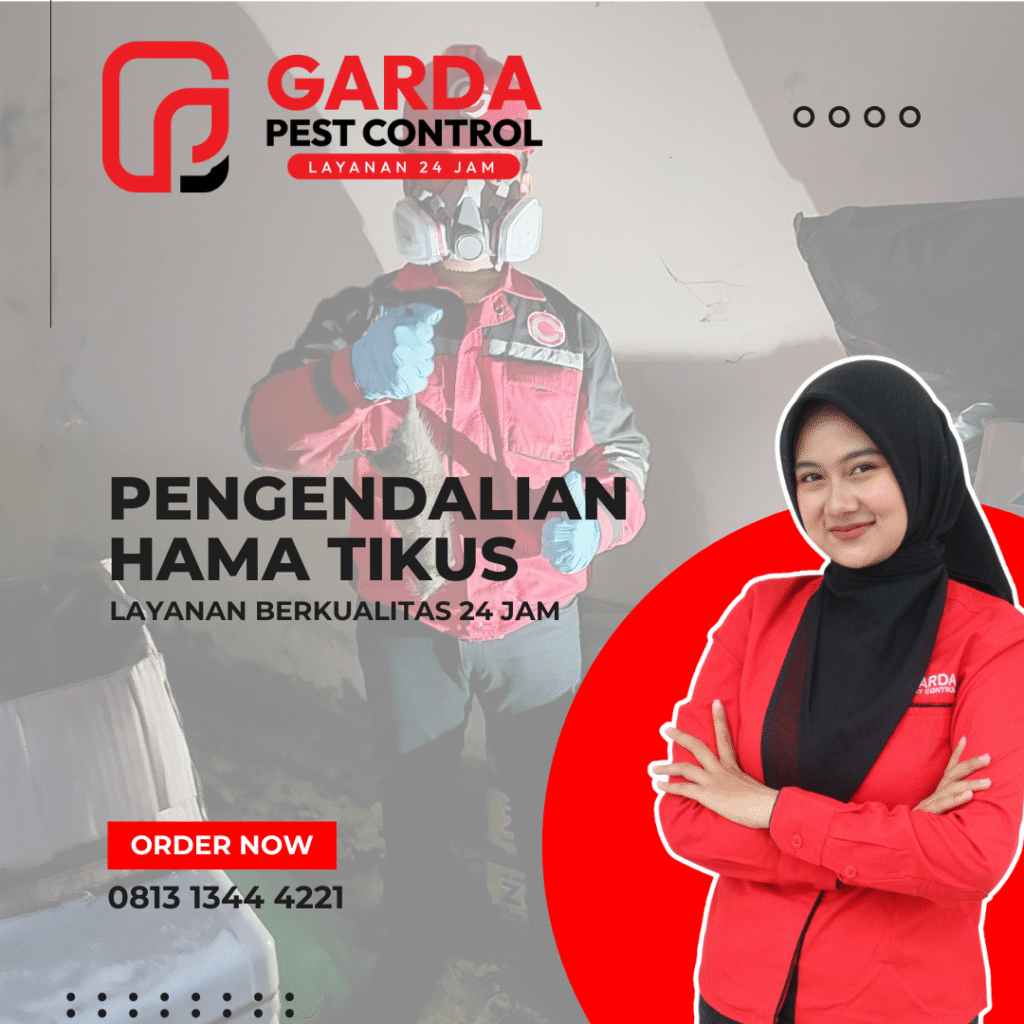 Pembasmi Tikus Terdekat