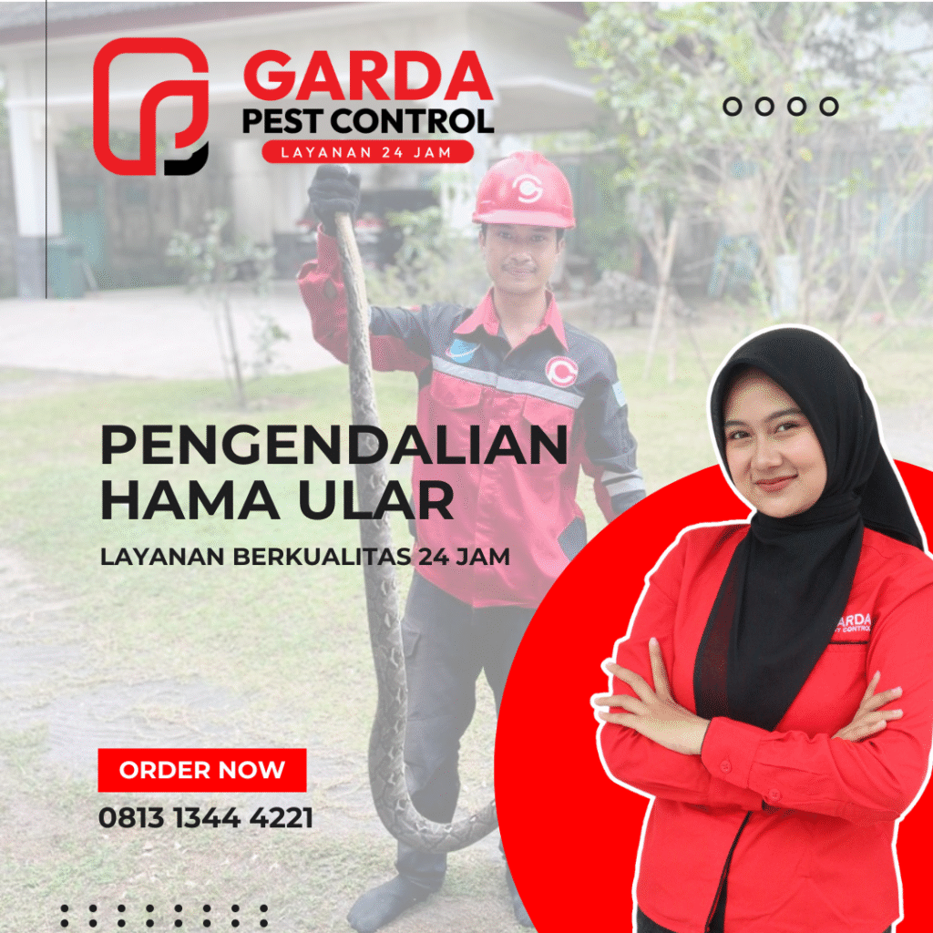 Jasa Tangkap Ular Terdekat